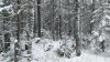 Клуб Ниссан Террано | Форум Terrano-Club.Ru | Фото: IMG_20201226_104608.jpg