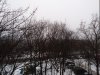 Клуб Ниссан Террано | Форум Terrano-Club.Ru | Фото: IMG_20210124_084430.jpg