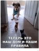 Клуб Ниссан Террано | Форум Terrano-Club.Ru | Фото: 9.png