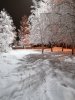 Клуб Ниссан Террано | Форум Terrano-Club.Ru | Фото: IMG_20210124_171238.jpg