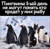 Клуб Ниссан Террано | Форум Terrano-Club.Ru | Фото: Рыба.jpg