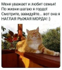 Клуб Ниссан Террано | Форум Terrano-Club.Ru | Фото: 9.png