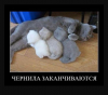 Клуб Ниссан Террано | Форум Terrano-Club.Ru | Фото: 9.png