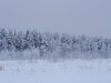 Клуб Ниссан Террано | Форум Terrano-Club.Ru | Фото: 20210104_124720_compress70.jpg