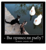 Клуб Ниссан Террано | Форум Terrano-Club.Ru | Фото: 8.png