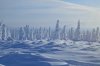 Клуб Ниссан Террано | Форум Terrano-Club.Ru | Фото: CIMG4125.JPG