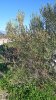 Клуб Ниссан Террано | Форум Terrano-Club.Ru | Фото: IMG-20210205-WA0004.jpeg