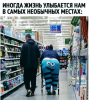 Клуб Ниссан Террано | Форум Terrano-Club.Ru | Фото: 8.png