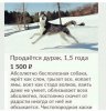 Клуб Ниссан Террано | Форум Terrano-Club.Ru | Фото: 0357c70494844828e9a0245f3ab01809.jpg