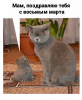 Клуб Ниссан Террано | Форум Terrano-Club.Ru | Фото: 7.png