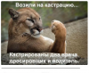 Клуб Ниссан Террано | Форум Terrano-Club.Ru | Фото: 7.png