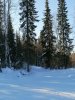 Клуб Ниссан Террано | Форум Terrano-Club.Ru | Фото: IMG_20210313_120920.jpg