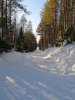 Клуб Ниссан Террано | Форум Terrano-Club.Ru | Фото: IMG_20210313_141726.jpg