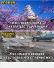 Клуб Ниссан Террано | Форум Terrano-Club.Ru | Фото: Screenshot_20210315_222759.jpg