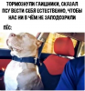 Клуб Ниссан Террано | Форум Terrano-Club.Ru | Фото: 6.png