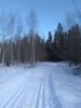 Клуб Ниссан Террано | Форум Terrano-Club.Ru | Фото: IMG_20210320_152108.jpg