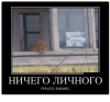 Клуб Ниссан Террано | Форум Terrano-Club.Ru | Фото: 7.png