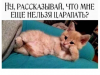 Клуб Ниссан Террано | Форум Terrano-Club.Ru | Фото: 7.png