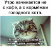 Клуб Ниссан Террано | Форум Terrano-Club.Ru | Фото: 8.png