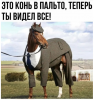 Клуб Ниссан Террано | Форум Terrano-Club.Ru | Фото: 7.png