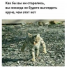 Клуб Ниссан Террано | Форум Terrano-Club.Ru | Фото: 6.png