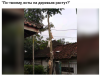 Клуб Ниссан Террано | Форум Terrano-Club.Ru | Фото: 7.png