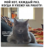 Клуб Ниссан Террано | Форум Terrano-Club.Ru | Фото: 7.png