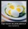 Клуб Ниссан Террано | Форум Terrano-Club.Ru | Фото: крутой.jpg