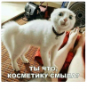 Клуб Ниссан Террано | Форум Terrano-Club.Ru | Фото: 1.png