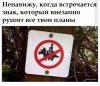 Клуб Ниссан Террано | Форум Terrano-Club.Ru | Фото: 2.png