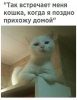 Клуб Ниссан Террано | Форум Terrano-Club.Ru | Фото: 1.png