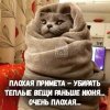 Клуб Ниссан Террано | Форум Terrano-Club.Ru | Фото: июнь.jpg