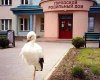 Клуб Ниссан Террано | Форум Terrano-Club.Ru | Фото: аист.jpg