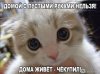 Клуб Ниссан Террано | Форум Terrano-Club.Ru | Фото: Screenshot_20210604_122856.jpg