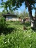 Клуб Ниссан Террано | Форум Terrano-Club.Ru | Фото: IMG_20210605_084716.jpg