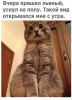 Клуб Ниссан Террано | Форум Terrano-Club.Ru | Фото: 1.png