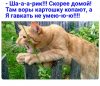 Клуб Ниссан Террано | Форум Terrano-Club.Ru | Фото: 6.png