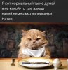 Клуб Ниссан Террано | Форум Terrano-Club.Ru | Фото: кот2.jpg