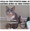 Клуб Ниссан Террано | Форум Terrano-Club.Ru | Фото: 2.png