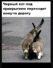 Клуб Ниссан Террано | Форум Terrano-Club.Ru | Фото: 3.png