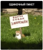 Клуб Ниссан Террано | Форум Terrano-Club.Ru | Фото: 1.png