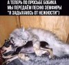 Клуб Ниссан Террано | Форум Terrano-Club.Ru | Фото: FB_IMG_1625285263808.jpg