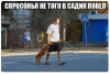 Клуб Ниссан Террано | Форум Terrano-Club.Ru | Фото: 5.png