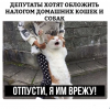 Клуб Ниссан Террано | Форум Terrano-Club.Ru | Фото: 5.png