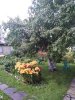 Клуб Ниссан Террано | Форум Terrano-Club.Ru | Фото: IMG_20210710_121136_resize_94.jpg