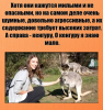 Клуб Ниссан Террано | Форум Terrano-Club.Ru | Фото: 4.png