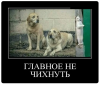 Клуб Ниссан Террано | Форум Terrano-Club.Ru | Фото: 2.png