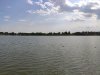 IMG_20210728_145546.jpg