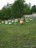 IMG_20210731_143743.jpg