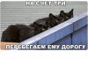 Клуб Ниссан Террано | Форум Terrano-Club.Ru | Фото: 1.png